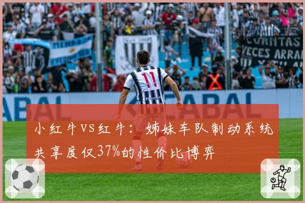 小红牛vs红牛:姊妹车队制动系统共享度仅37%的性价比博弈